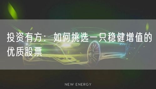 投资有方：如何挑选一只稳健增值的优质股票