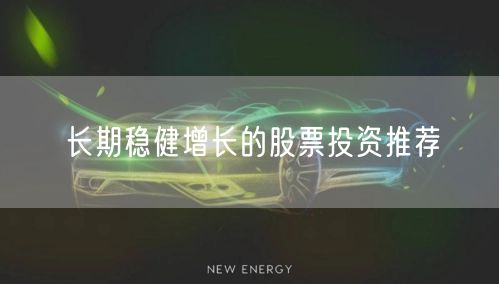 长期稳健增长的股票投资推荐