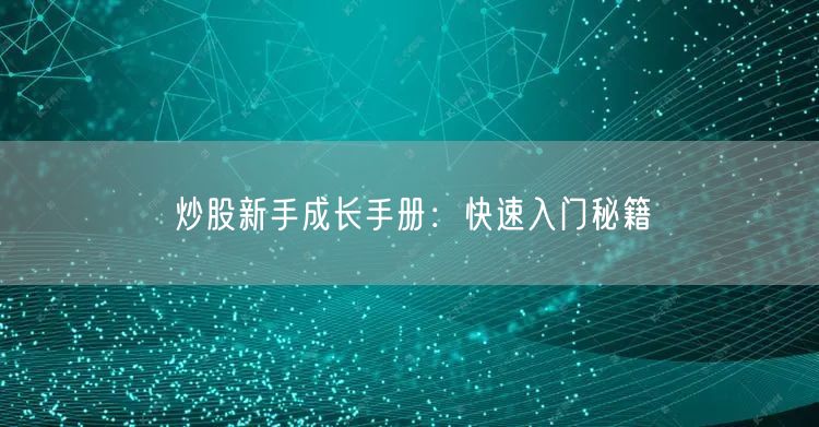 炒股新手成长手册：快速入门秘籍