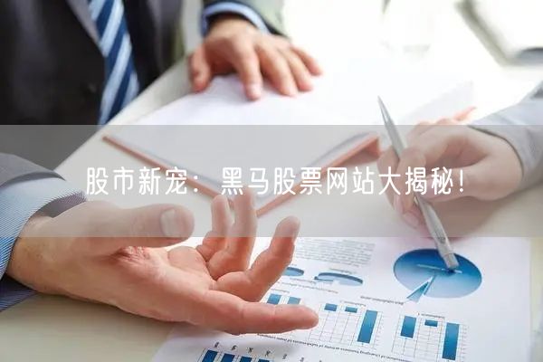 股市新宠：黑马股票网站大揭秘！