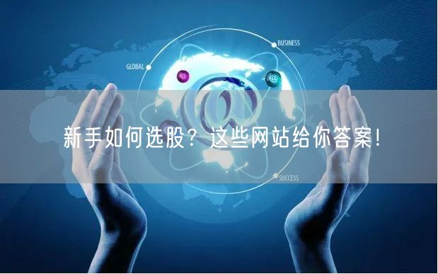 新手如何选股？这些网站给你答案！