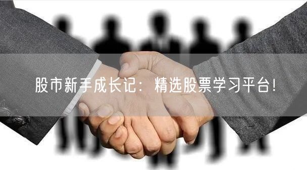 股市新手成长记：精选股票学习平台！