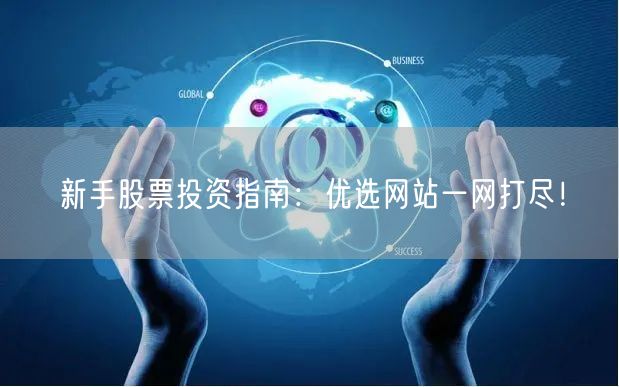 新手股票投资指南：优选网站一网打尽！