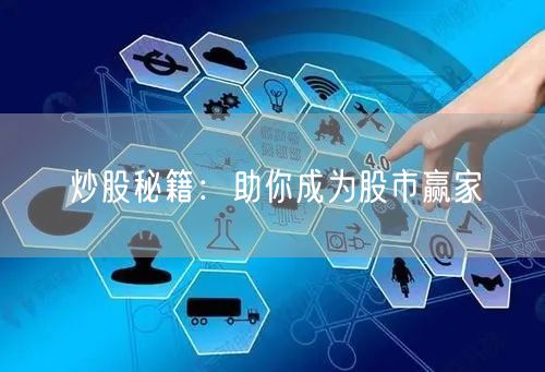 炒股秘籍：助你成为股市赢家