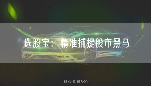 选股宝：精准捕捉股市黑马