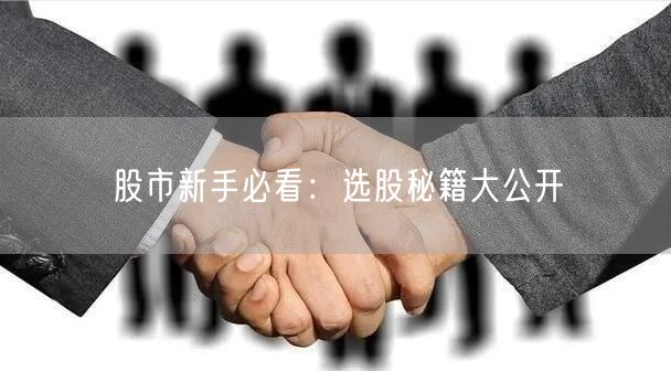 股市新手必看：选股秘籍大公开