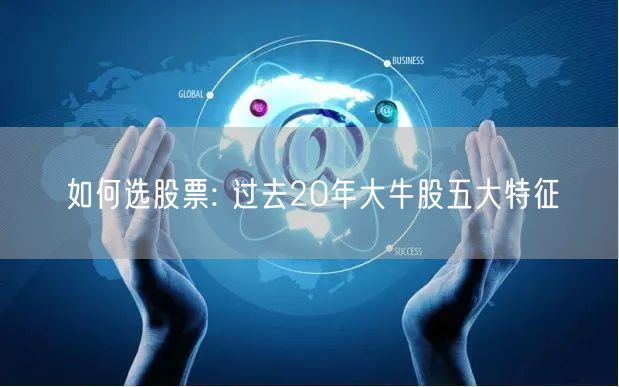 如何选股票: 过去20年大牛股五大特征