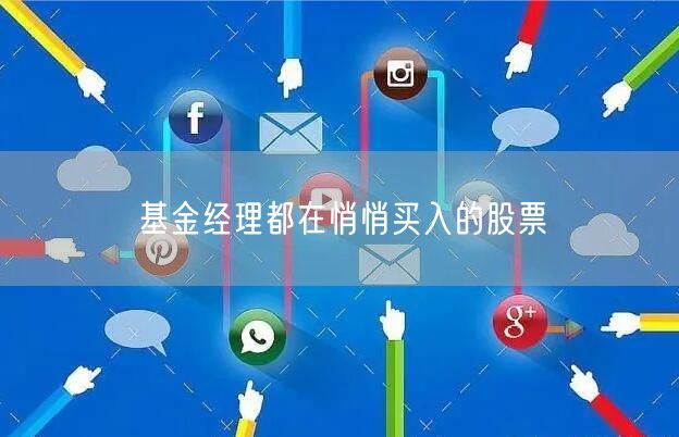 基金经理都在悄悄买入的股票