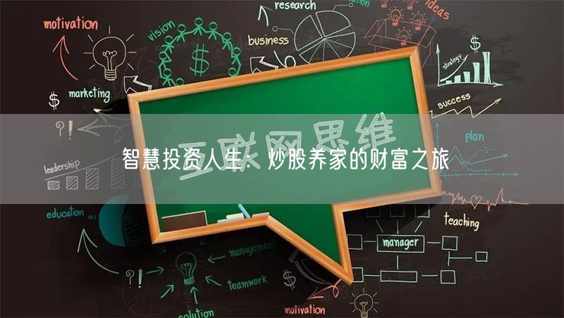 智慧投资人生：炒股养家的财富之旅