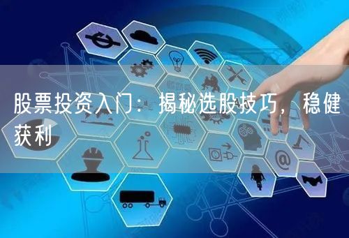 股票投资入门：揭秘选股技巧，稳健获利