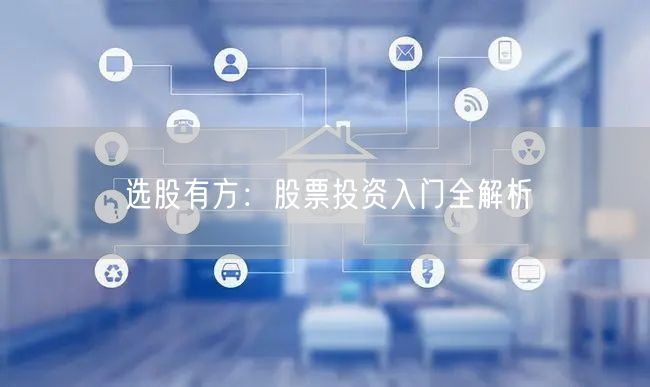 选股有方：股票投资入门全解析