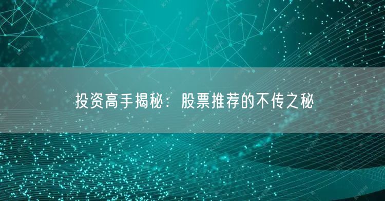 投资高手揭秘：股票推荐的不传之秘