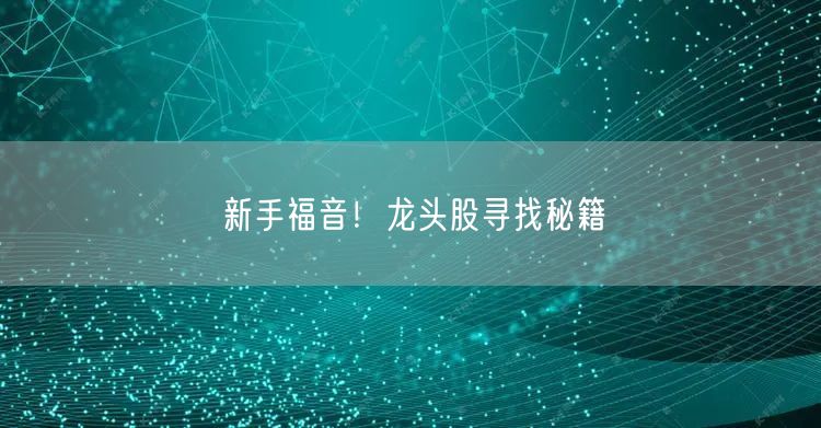 新手福音！龙头股寻找秘籍