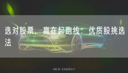 选对股票，赢在起跑线：优质股挑选法
