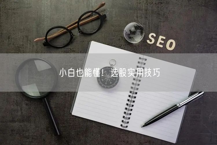 小白也能懂！选股实用技巧