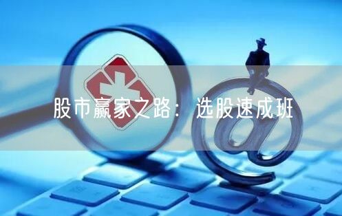 股市赢家之路：选股速成班