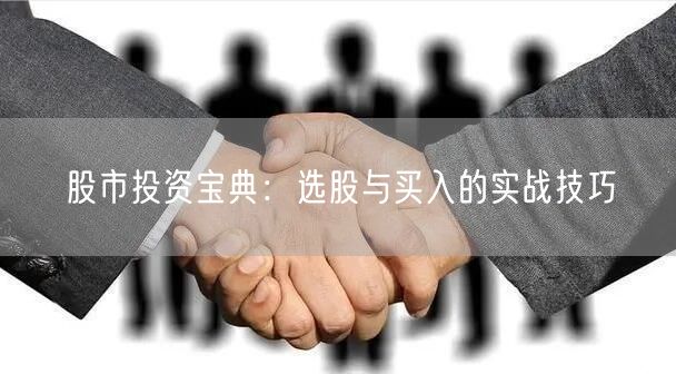 股市投资宝典：选股与买入的实战技巧