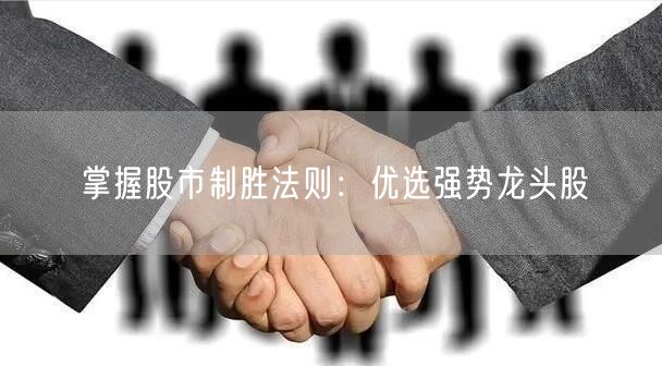 掌握股市制胜法则：优选强势龙头股