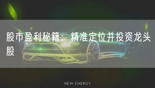 股市盈利秘籍：精准定位并投资龙头股