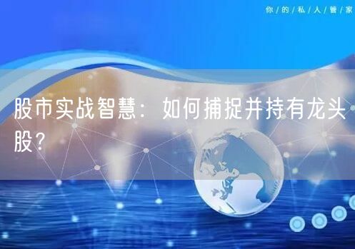 股市实战智慧：如何捕捉并持有龙头股？