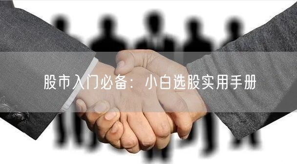 股市入门必备：小白选股实用手册
