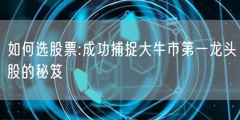 如何选股票:成功捕捉大牛市第一龙头股的秘笈