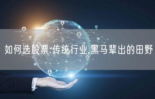 如何选股票:传统行业,黑马辈出的田野