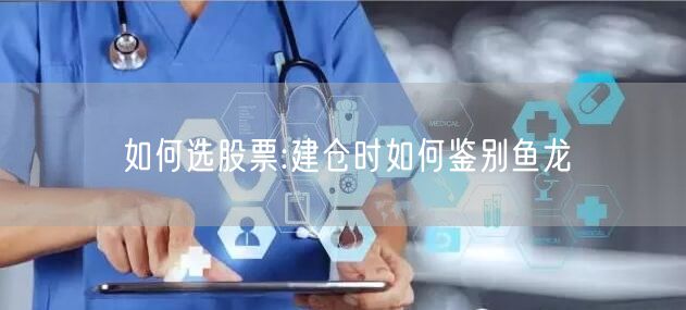 如何选股票:建仓时如何鉴别鱼龙